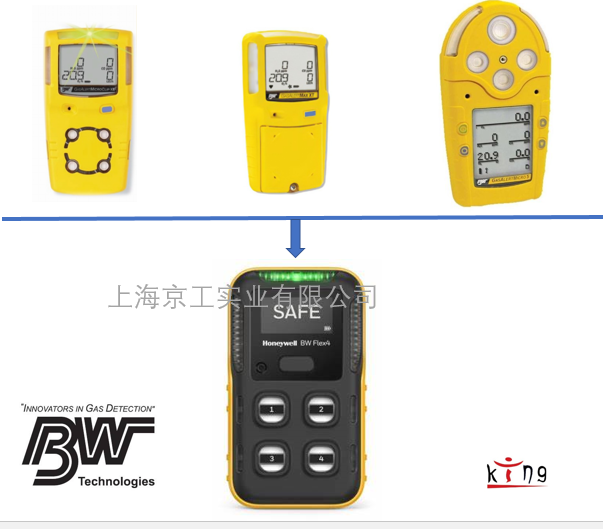 BW氣體檢測儀